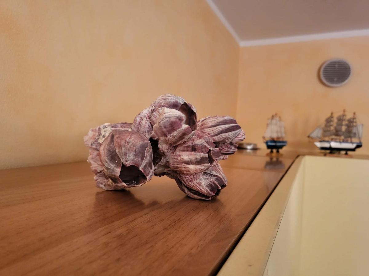 The Shell Apartment ボルディゲーラ エクステリア 写真